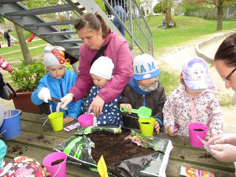 Eltern der Kita Ellhornstraße pflanzen gemeinsam mit ihren Kindern neue Blumen ein.